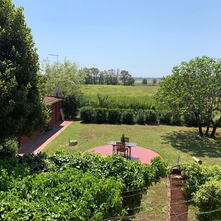 Casale Degli Ulivi Maccarese Le Cerquete Exterior foto