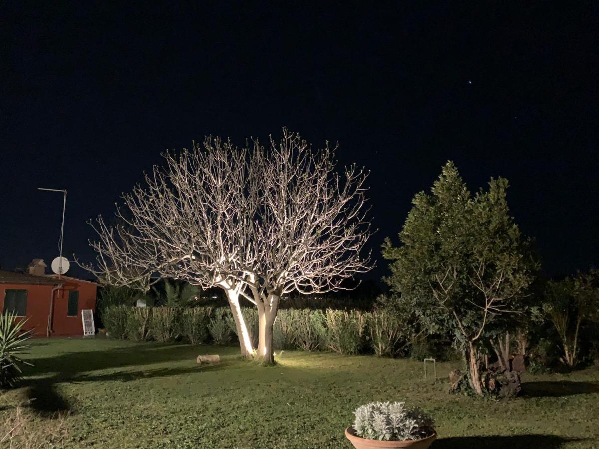 Casale Degli Ulivi Maccarese Le Cerquete Exterior foto