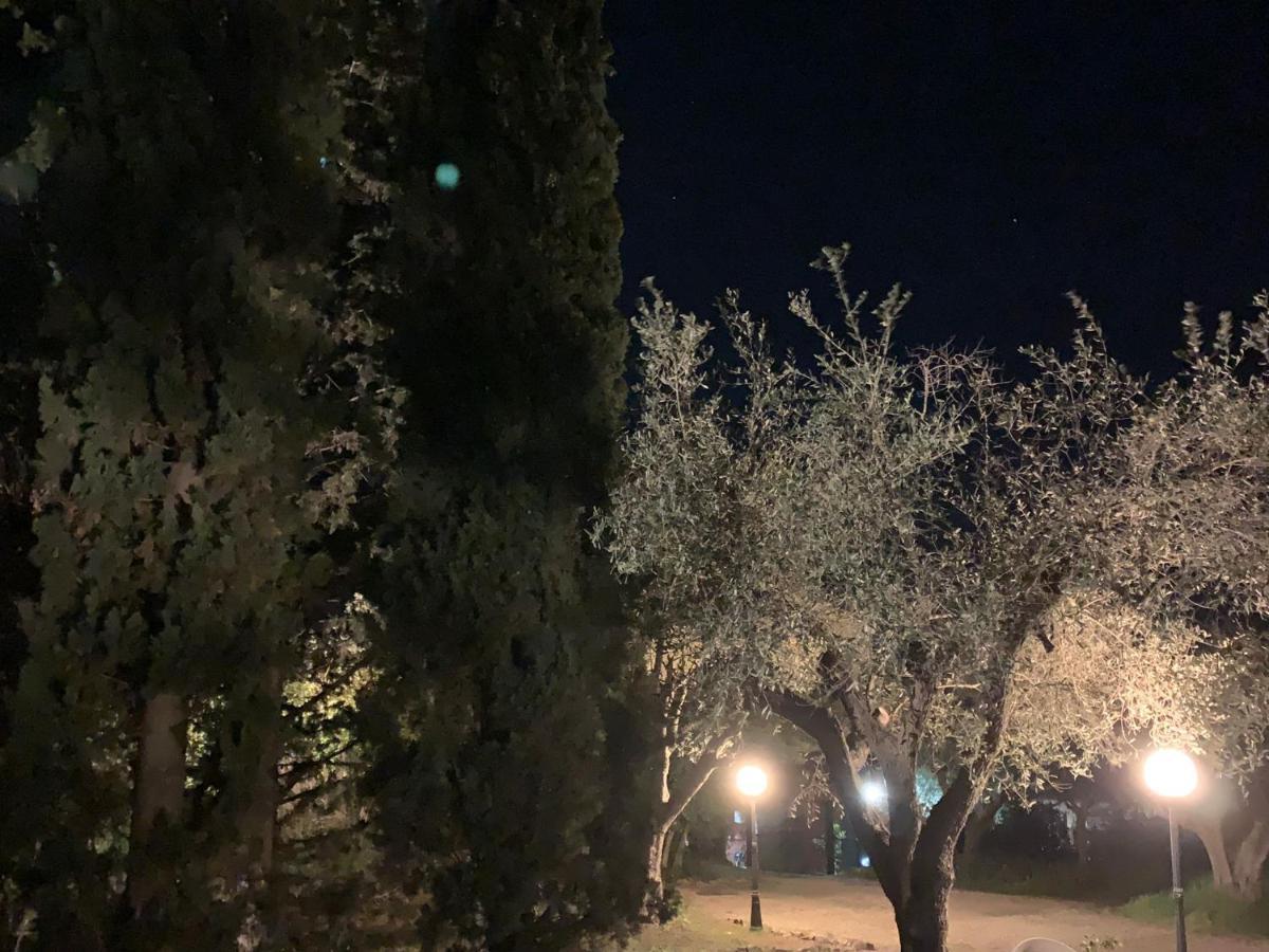 Casale Degli Ulivi Maccarese Le Cerquete Exterior foto