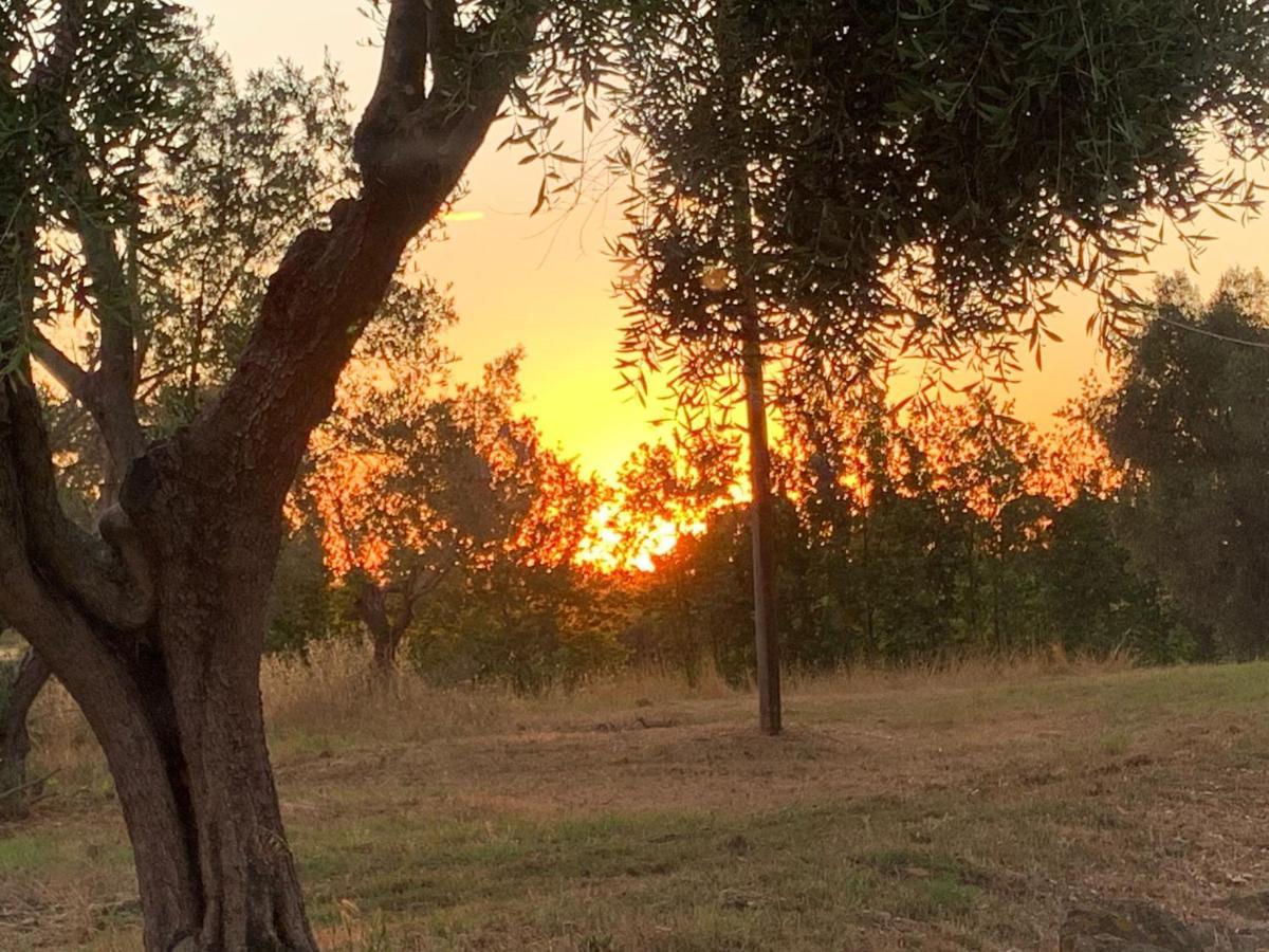 Casale Degli Ulivi Maccarese Le Cerquete Exterior foto