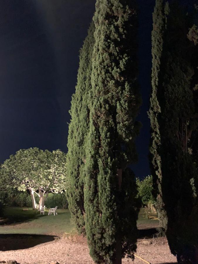 Casale Degli Ulivi Maccarese Le Cerquete Exterior foto