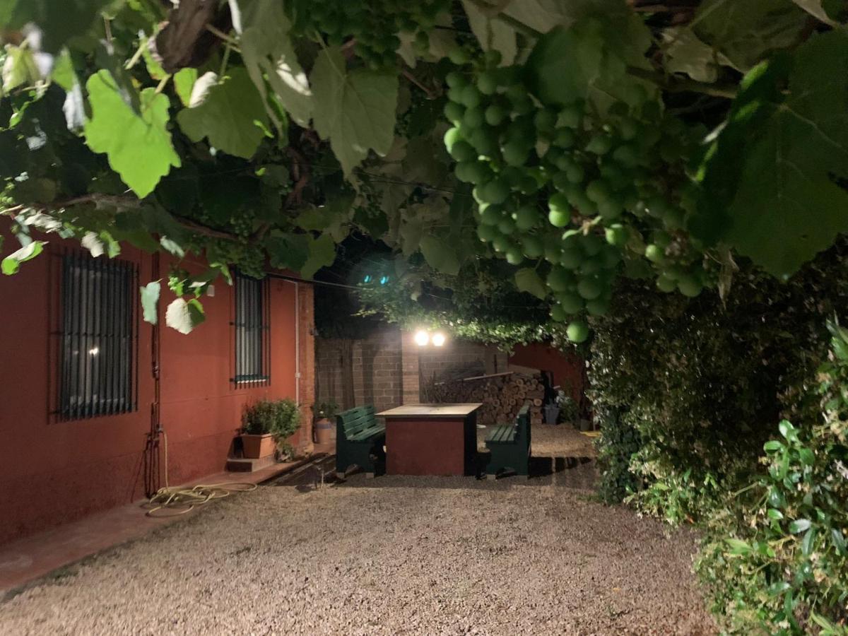 Casale Degli Ulivi Maccarese Le Cerquete Exterior foto